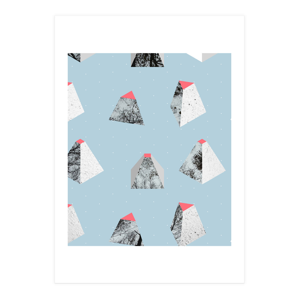 Because I Can (Print Only)