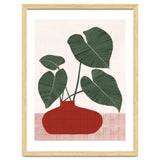 Philodendron Gloriosum plant thumbnail