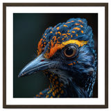 Close Up Of A Colorful Bird Head And Eye thumbnail