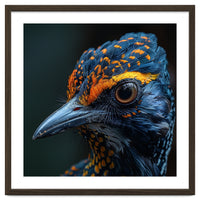 Close Up Of A Colorful Bird Head And Eye