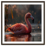 Pink Flamingo Swimming In Sunlight Water thumbnail