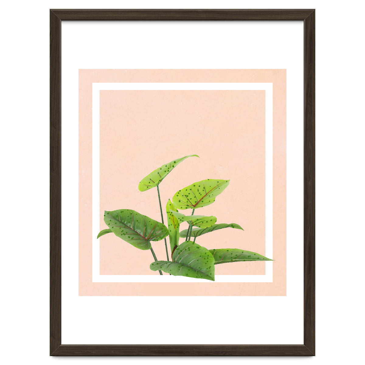 Botanical Art