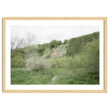 Green grass wall thumbnail