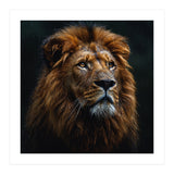 Majestic Lion Portrait In Gentle Rain (Print Only) thumbnail