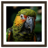 Close Up Of A Colorful Macaw Parrot Face thumbnail