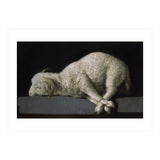 Agnus Dei - ca.1635-40 - oil on canvas - 37,3 x 62 cm - Spanish Baroque - NP 7293. (Print Only) thumbnail