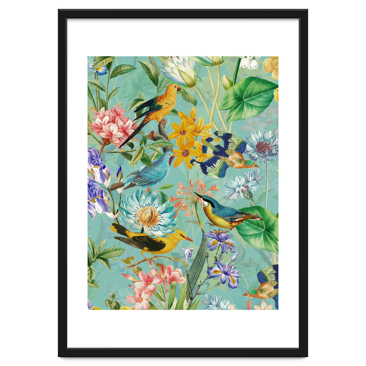 Birds In Tropical Jungle