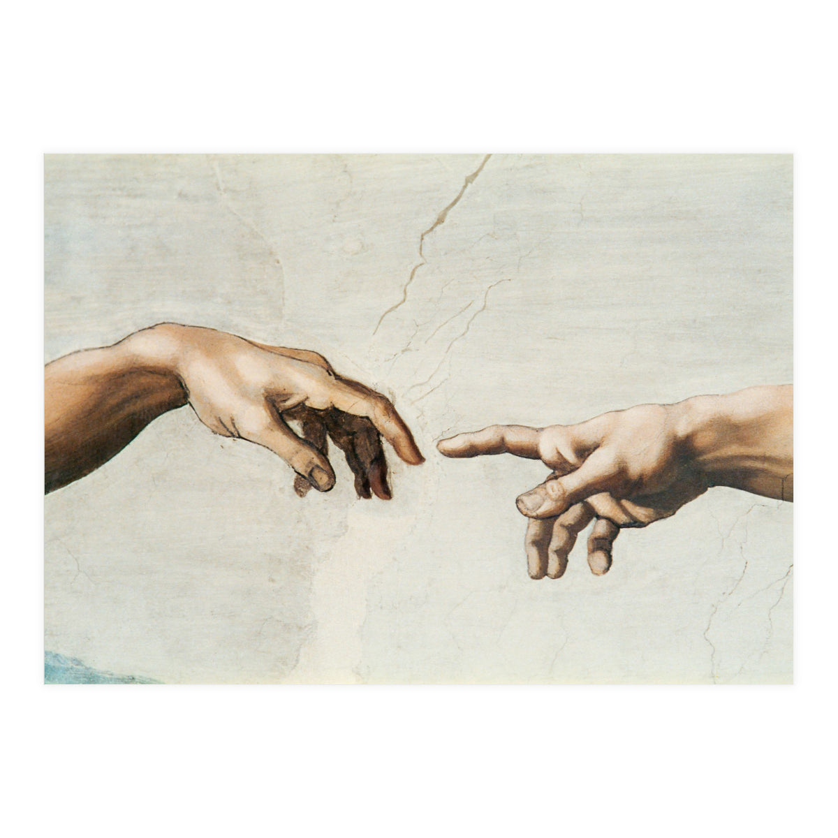 The Sistine Chapel; ceiling frescos after restoration. The creation of Adam. (Print Only)