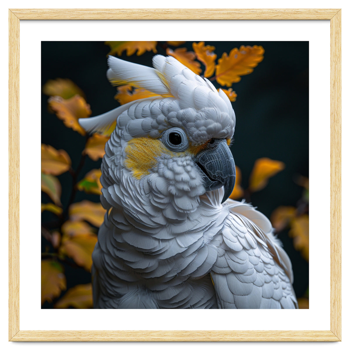 Yellow Crested Cockatoo Portrait Autumn Leaves Dark