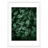 New Foliage Green Ii thumbnail