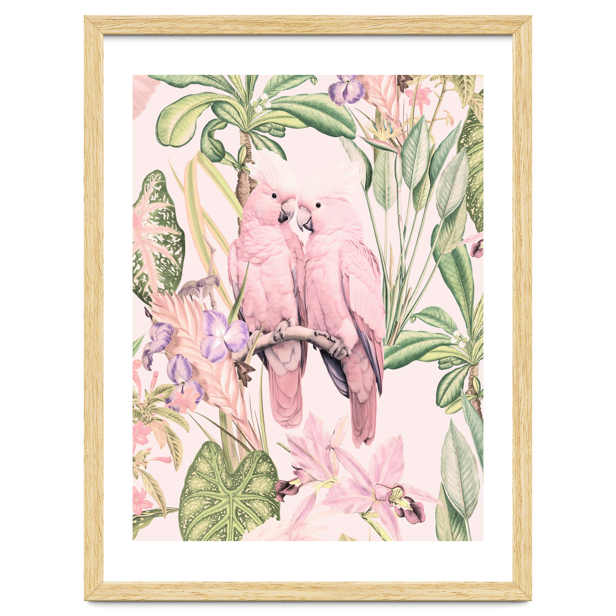 Pink Cockatoos in Love