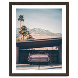 Palm Springs Pink thumbnail