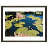 Lotus Pond | Landscape thumbnail