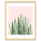 Botanical Balance thumbnail