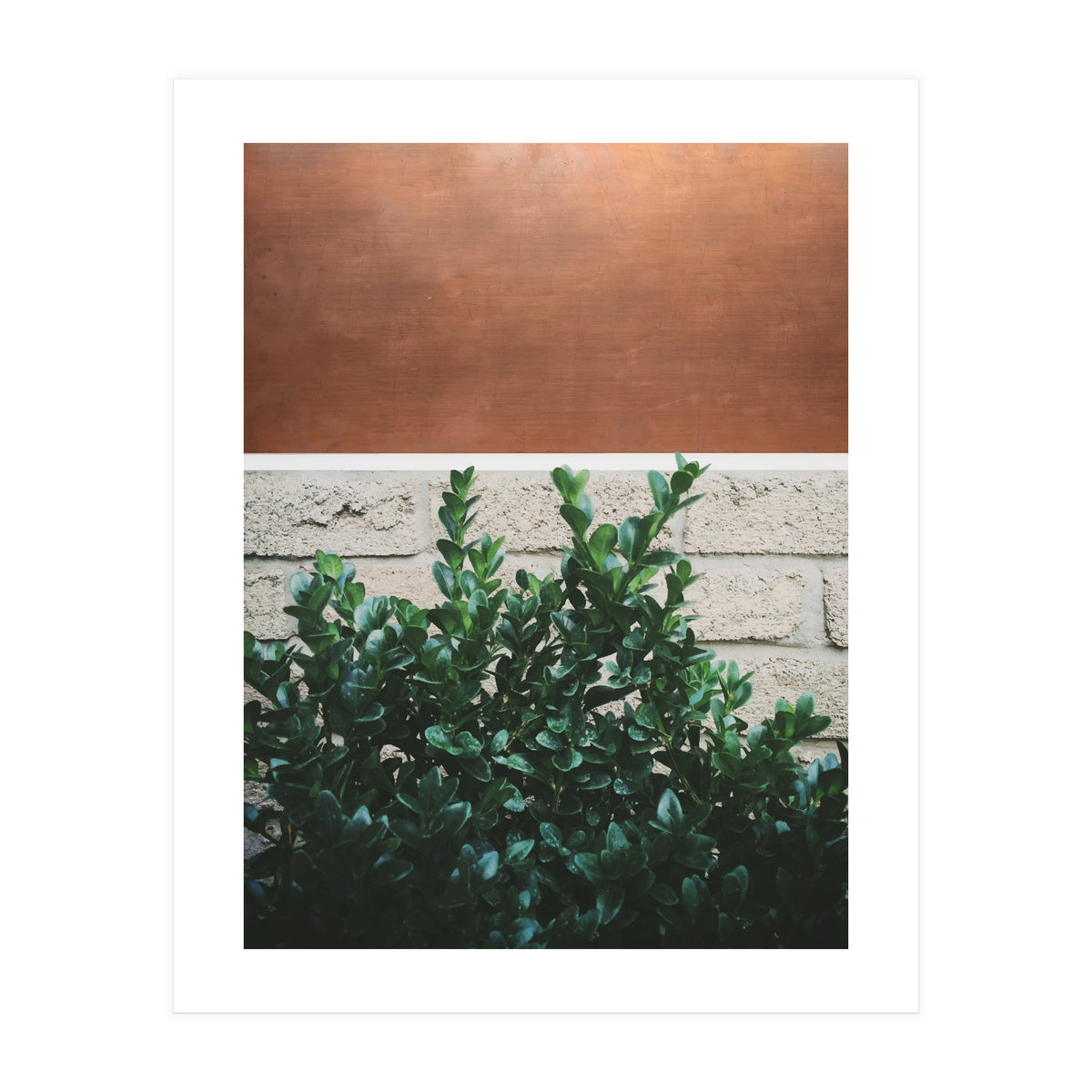 Plant + Copper (Print Only)