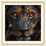 Majestic Lion Face Intense Orange Eyes Close Up thumbnail