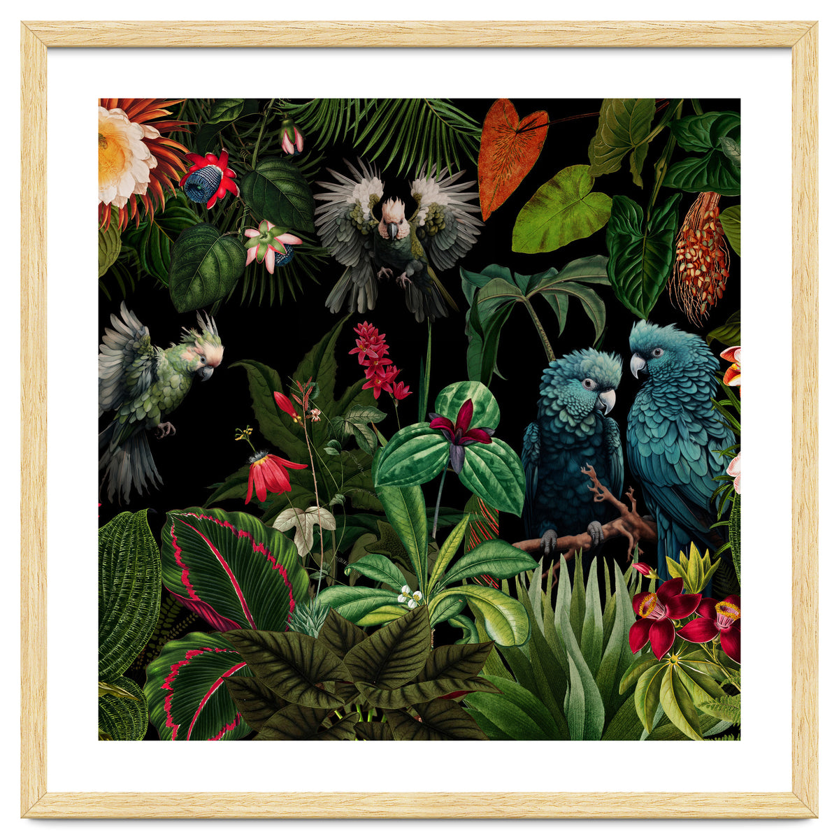 Moody Botanical Midnight Jungle Birds