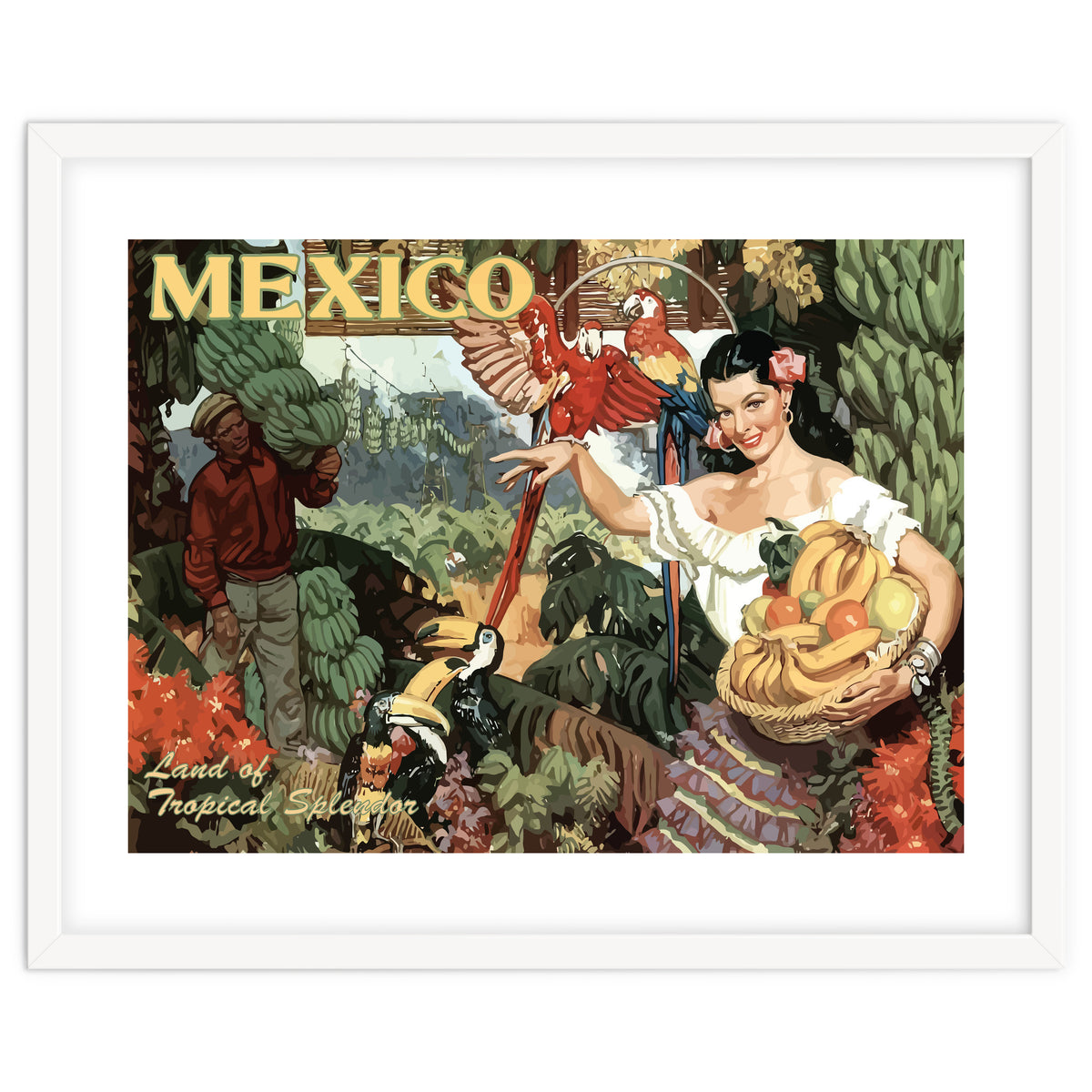 Mexico, Tropical Splendor