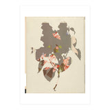 The First Plant · M2 (Print Only) thumbnail