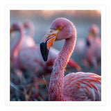 Close Up Of A Pink Flamingo Bird In Natural Light (Print Only) thumbnail
