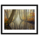 Bent trees in autumn thumbnail