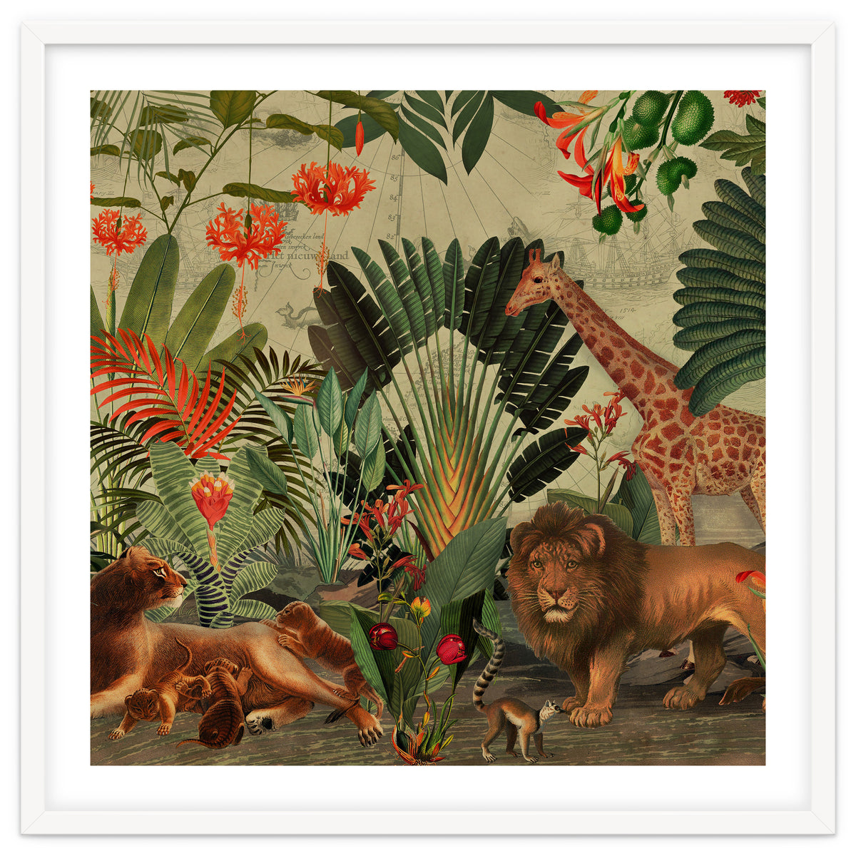 African Jungle Adventure