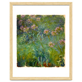 Claude Monet (1840-1926). Agapanthus. thumbnail