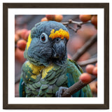 Yellow Headed Amazon Parrot Close Up Portrait thumbnail
