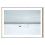 Seagulls in the Snow beach thumbnail