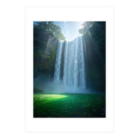 Lush Sun-Drenched Autumn Forest (Print Only)
