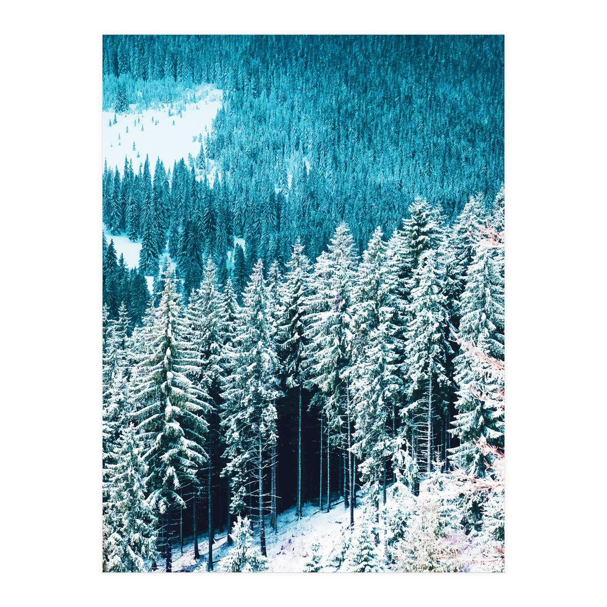 Rainforest #society6 #decor #buyart (Print Only)