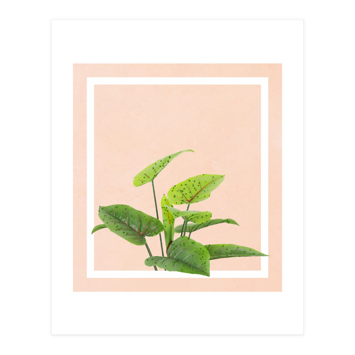 Botanical Art (Print Only)