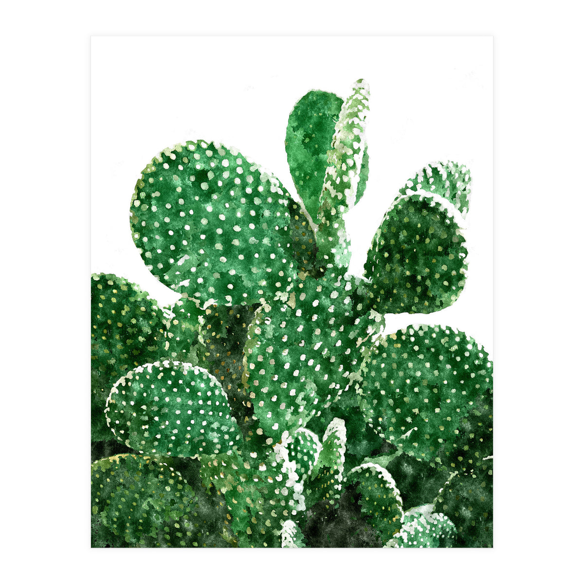 Velvet Cactus | Watercolor Botanical Plants | Minimal Boho Scandinavian Painting (Print Only)