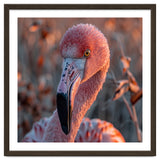 Close Up Of A Pink Flamingo Head In Sunlight thumbnail
