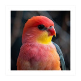 Vibrant Tropical Bird  (Print Only) thumbnail