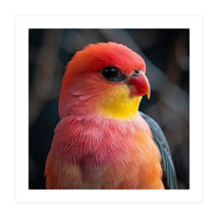 Vibrant Tropical Bird  (Print Only)