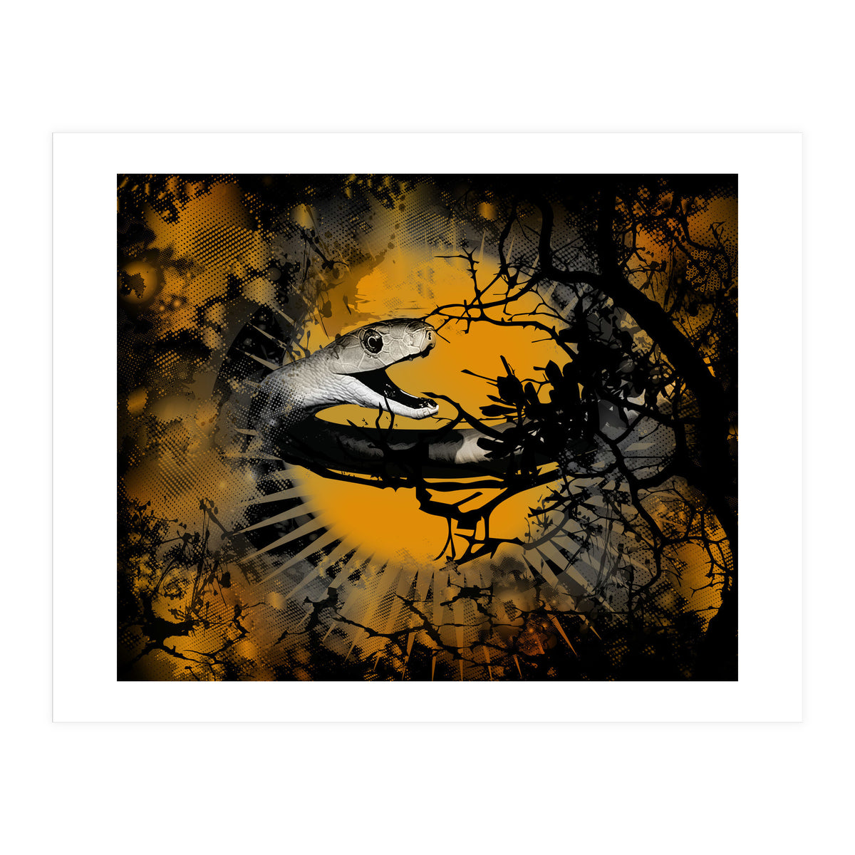 Black Mamba  (Print Only)