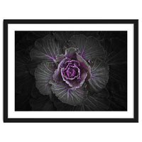 Backyard Flowers No 108 Color Version