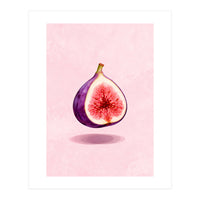 Fresh Figs, Watercolor Fruit, Mediterranean Still Life (Print Only)