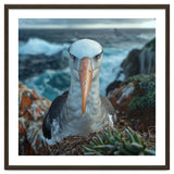 Black Browed Albatross Perched On Nest Near Ocean thumbnail