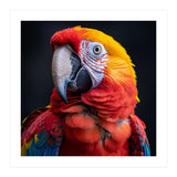 Scarlet Macaw Parrot Head Detailed Portrait Black (Print Only) thumbnail