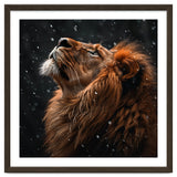 Lion Looking Up In The Snow Majestic thumbnail