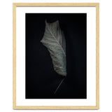 Leaves No 3 Color Version thumbnail