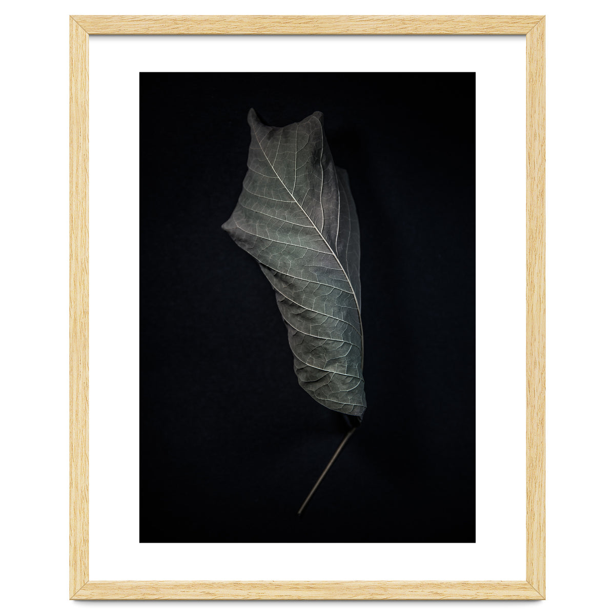 Leaves No 3 Color Version