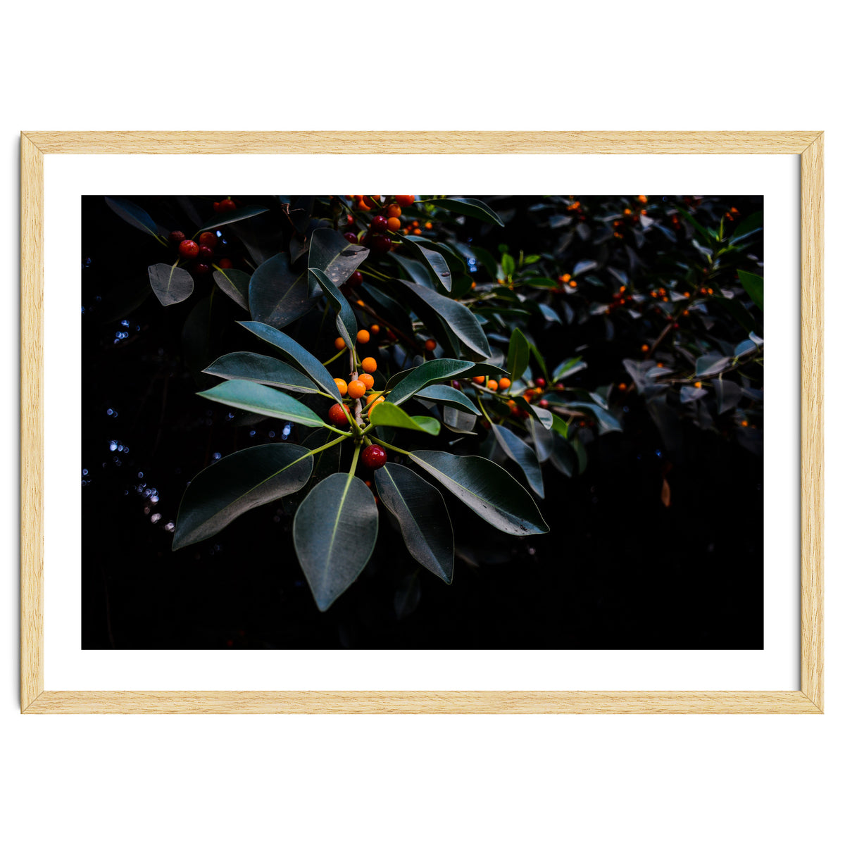 Orange, Green and Dark