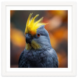 Close-up Portrait of a Yellow Cockatoo in the Wild. thumbnail
