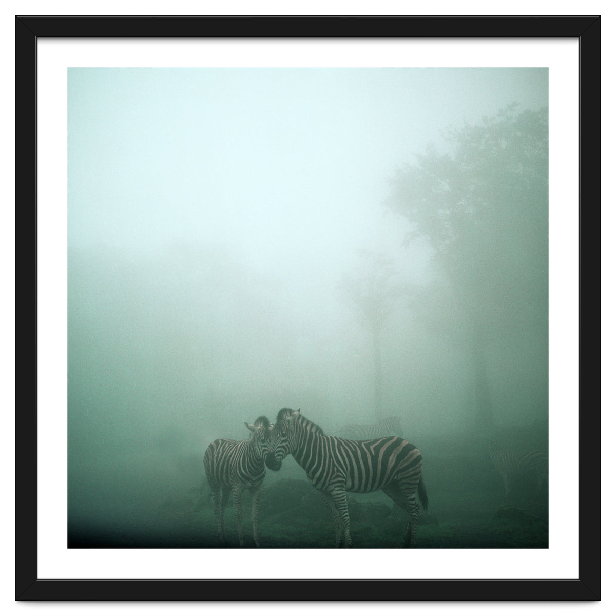 Silence of breath - 11