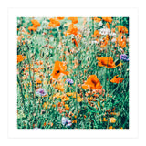 Eva | Nature Floral Meadow Garden | Photography Botanical Spring Bohemian Flowers (Print Only) thumbnail