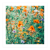 Eva | Nature Floral Meadow Garden | Photography Botanical Spring Bohemian Flowers (Print Only)