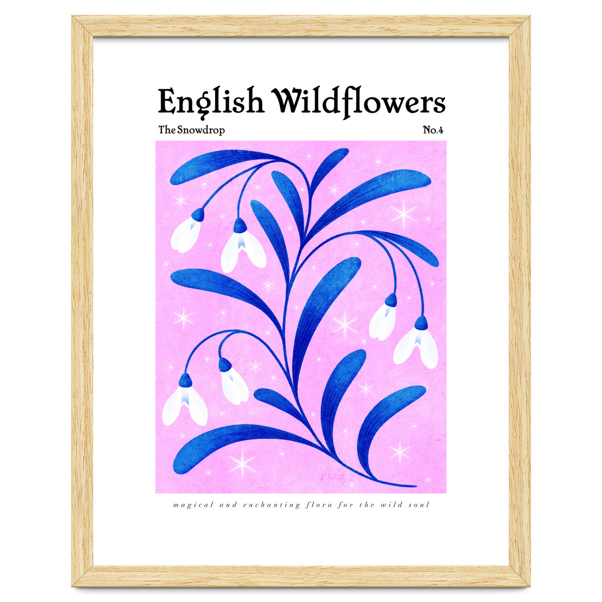 English Wildflowers | Snowdrops